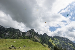 Rawkingphoto031_DSC0137_web
