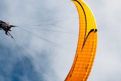cropped-DSC_0370-scaled-1