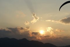 cropped-IMG_2239